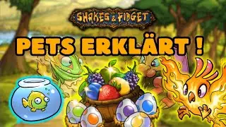 (PETS ERKL&Auml;RT) Shakes & Fidget - Simple Pet Guide | German