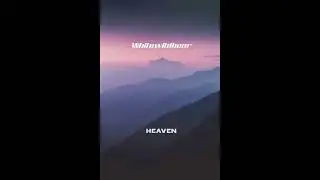 Whitewildbear - Heaven
