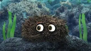MPI Biosecurity. Marine Pests. 2019 digital video
