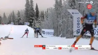 Ski de fond Technik Skating