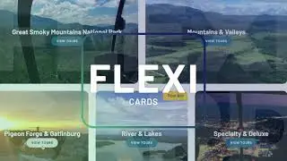 Flexi Cards &mdash; Tourism Tiger Website Feature
