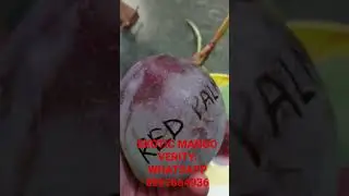 Exotic Mango Verity