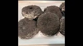 The Donut Shack