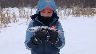 Ice Fishing in 2023 with Pemberton Fish Finder