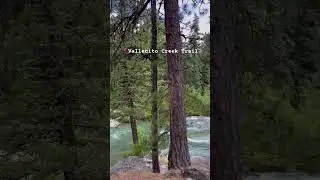Colorado&rsquo;s Most Beautiful Creek? 📍#Vallecito #Creek #Trail✍🏻Save for the future planning!