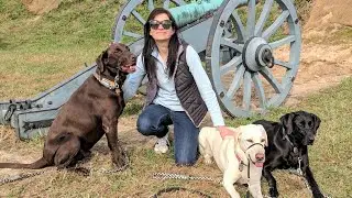 Yorktown, Virginia || Sailing with Labmaraner Dogs || Big Guns!