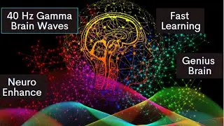 Fast Learning| Genius Brain| Memory |Focus| Study| NO-ADS | 100% Brain Activation| Mood |40 Hz Gamma