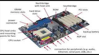 Types of Ports in Motherboard