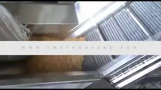 Cheap and Good Vegetable and Nut Rolling Washer Line Made in China