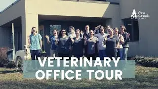 Veterinary Hospital Video Tour | Pine Creek Animal Hospital [2021]