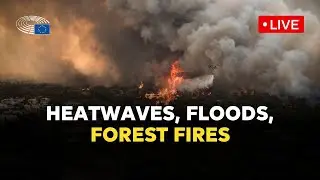 Parliament discusses how to protect people from extreme weather events