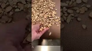 Microwave drying tunnel furnace Angelica drying machine
