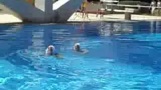 DMM 2008 Synchro Duet Technical Routine Masters 30-39 years