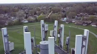 Hawk Attacks Drone!
