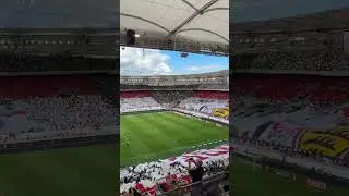 VfB Stuttgart Fans vs Borussia M&ouml;nchengladbach [30.08.2025]