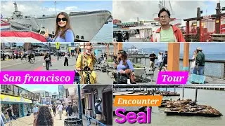 San Francisco travel guide|Peer 39|Silicon Valley|SFO tour|ସିଲ ମାଛ ଦେଖିବାକୁ ଭିଡ