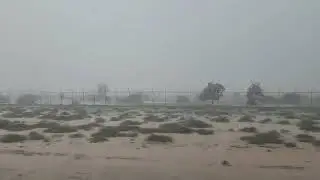 Rain in Cholistan Desert, Rahim Yar Khan, September 2024