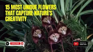 15 Most Unique Flowers That Capture Nature's Creativity