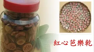 紅心芭樂完整_鄉村田園Rural idyll_生活life_飲食