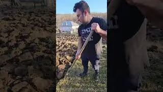 Intorsi acasă după 10 ani de strainatate!