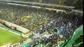 Tripeiros humilhados para sempre