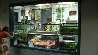 Conservation Station II, Animal Kingdom, Walt Disney World (HD 1080p)
