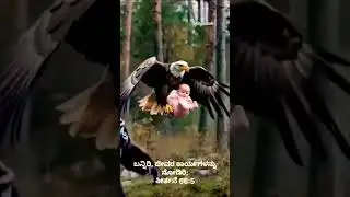 Nimmanthe Yaru ella|Christmas Carols Songs|Christian Songs #shortsfeed #love #jesus #shortvideo