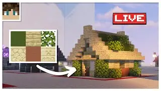 LIVE: You Pick the Color Palette, I Build the House!