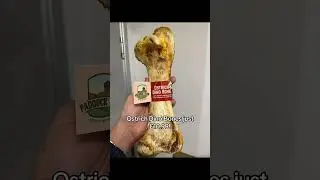Ostrich dino bones for dogs! #bulkdogtreats #naturaltreats