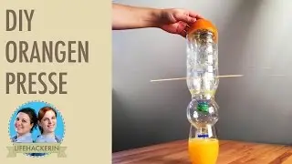 Orangen frisch pressen - mit Plastikflaschen I DIY-Zitruspresse I Upcycling