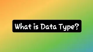 What is Data Type?