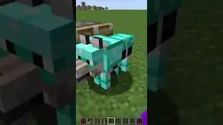 wolf + Diamond armor 💎 = ??#shorts #minecraft