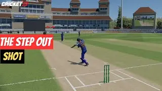 How To Play Step Out Aggressive Shot | CRICKET 22