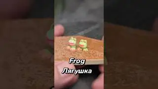Frog    Лягушка