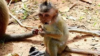 So Pity Orphanage Baby Dustin Challenging Food Finding! So Poor Life!