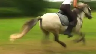 Toulavá na Lipí