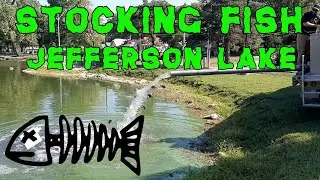 St. Louis - Stocking Fish at Jefferson Lake in Forest Park