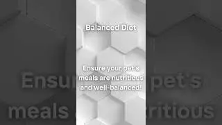 Nom Nom Nutrition! 🍽️ Guide to a Balanced Pet Diet #Shorts