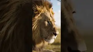 동물은 동물을 돕는다.Animals help animals. Amazing rescue moments #animals #rescue #wildlife