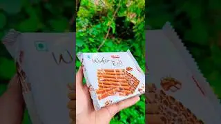 chocolate wafer rolls malayalam review #shorts