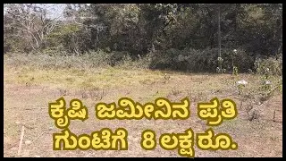 Agricultural site for sale on Korlkatta road 5km. from Sirsi.