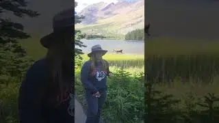Mary meets a moose at Many Glacier