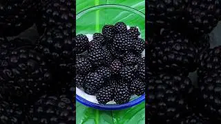 How To Clean Blackberries #fruit #212