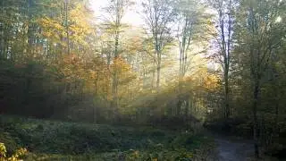 Sokolov - Rachmaninov Prelude op.32 n.5 (1981).wmv