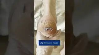 VIDEO 2021 09 09 16 59 45