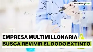 Empresa emergente de US$1.000M busca revivir el dodo extinto