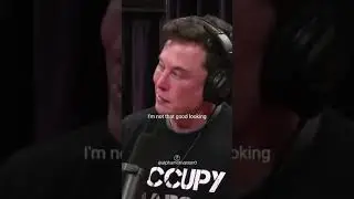 Why Elon Musk Deleted Instagram
