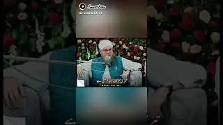 Hadisa quasi