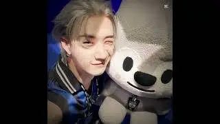 B a n g  C h a n   Bang Chan