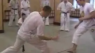 Kyokushin vs Capoiera